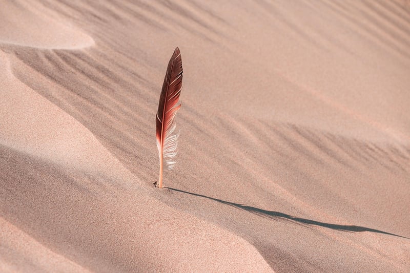 Sand dunes in the desert